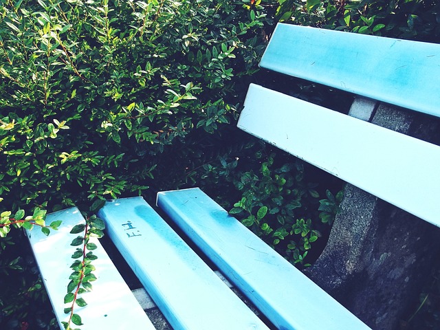 惨败青岛采访！许利民强调阵容不齐整，曾凡博仍未做出决定！