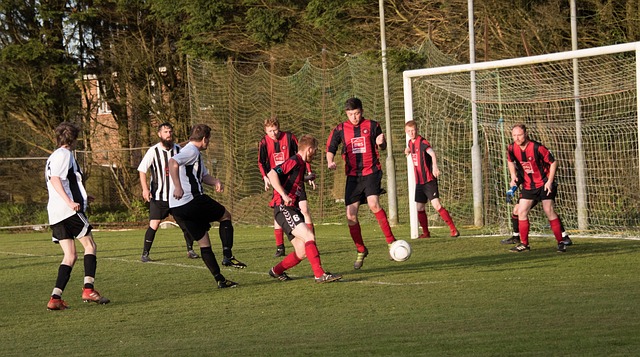 却大相径庭 却大相径庭