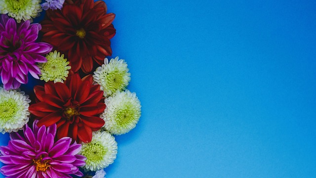 社会公平不 社会公平不