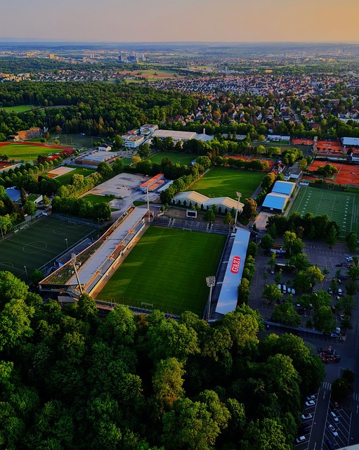 疑鼓舞了整 疑鼓舞了整