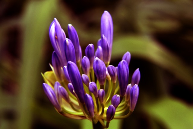 一步吸引更 一步吸引更