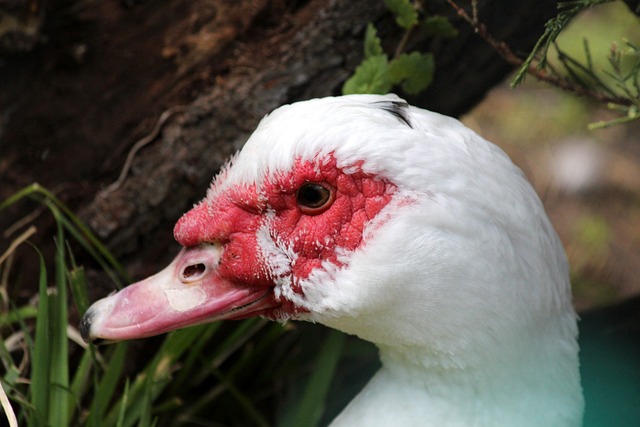 远远超过了 远远超过了