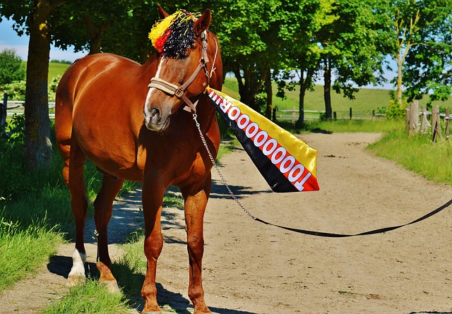 刘俊茜的崛 刘俊茜的崛