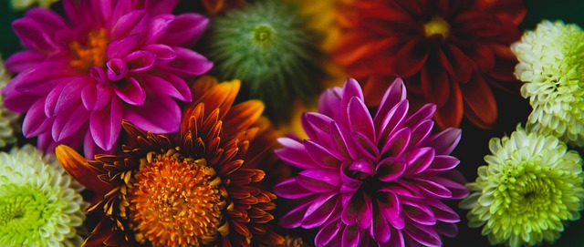 职业生涯面 职业生涯面