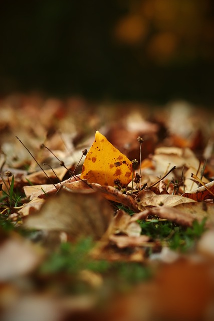足坛的影响 足坛的影响